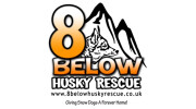 8 Below Husky Rescue  Logo
