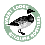 Charity Greeting Cards & Greeting Ecards for Brent Lodge Bird & Wildlife Trust