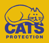 Charity Greeting Cards & Greeting Ecards for Cats Protection