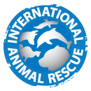 Personalised Cards & eCards supporting International Animal Rescue