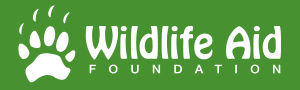 Charity Greeting Cards & Greeting Ecards for Wildlife Aid